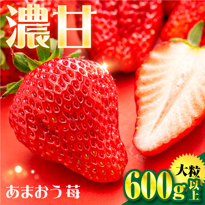 【先行予約】【化粧箱】あまおう いちご 600g以上 【2026年1月以降順次発送】 糸島市 / 株式会社フルコンス [ALO001]