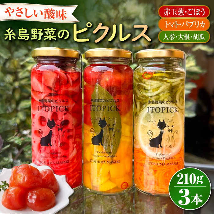 【ITOPICK】糸島野菜のピクルス3本セット 糸島市 / 糸島正キ [AQA098]