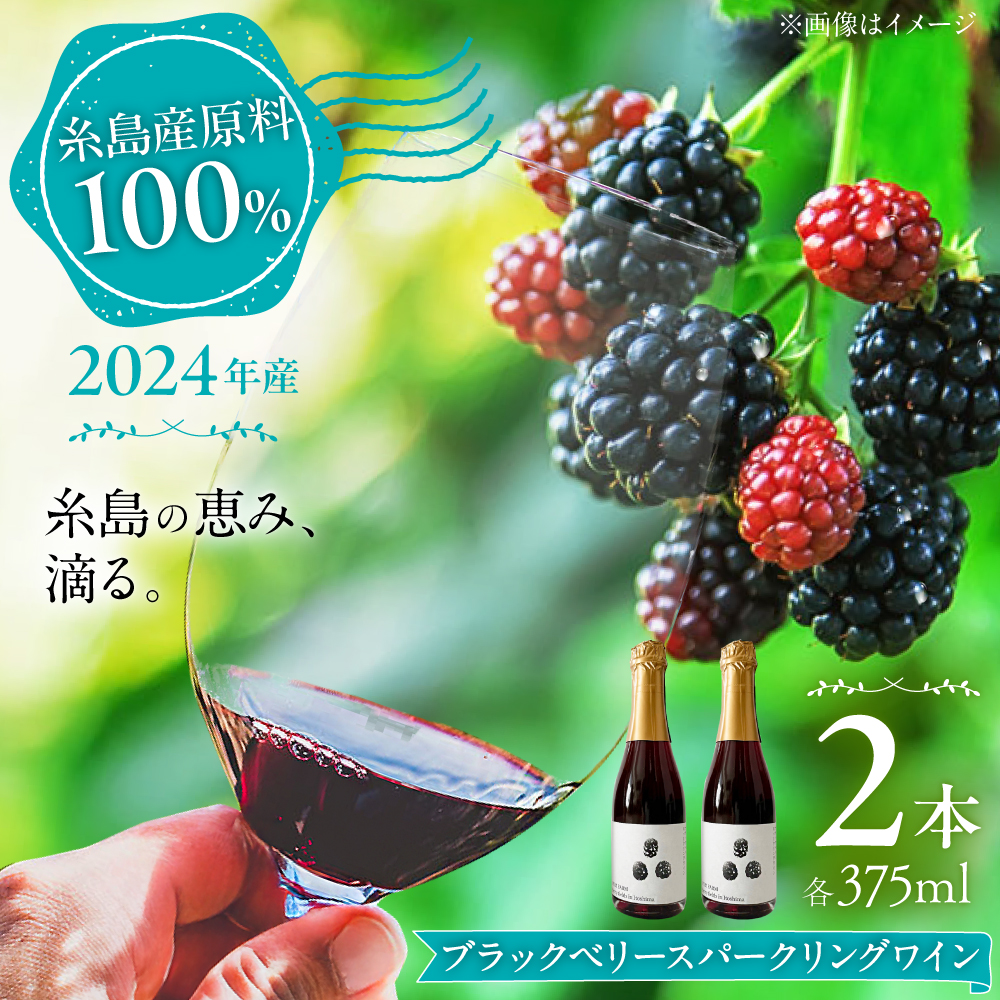 2024年産 糸島産ブラックベリースパークリングワイン 375ml 2本セット / 糸島市 / HYM FARM / お酒 赤ワイン [AHM003] ワイン ブラックベリー 贈り物 375ml 糸島 果実酒 赤ワイン フルーツ