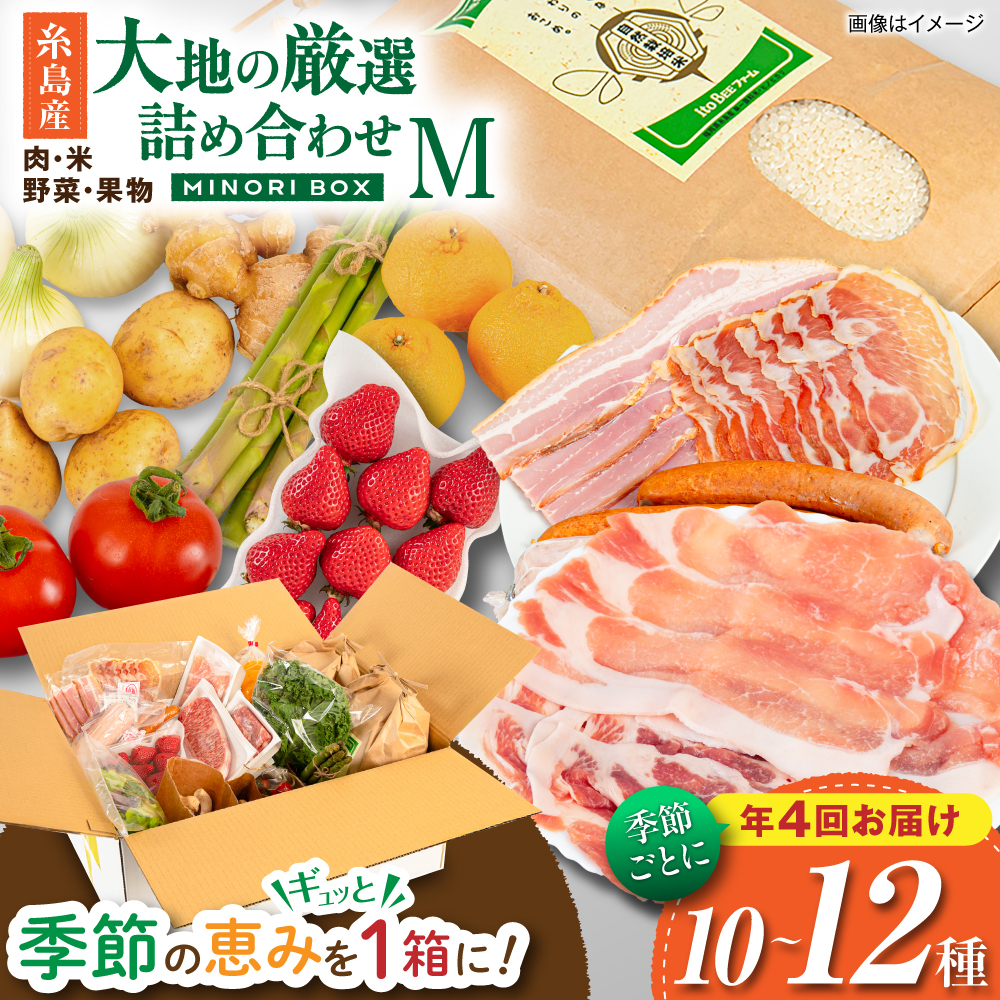 【全4回定期便 令和7年産新米】糸島産 肉 米 野菜 果物 厳選詰め合わせ MINORI BOX Mサイズ【季節ごとに年4回お届け】 糸島市 / emma.Inc / 米 肉 野菜 果物 詰め合わせ [AOP002] 米 こめ 肉 にく 野菜 やさい 果物 くだもの 糸島 詰め合わせ MINORI