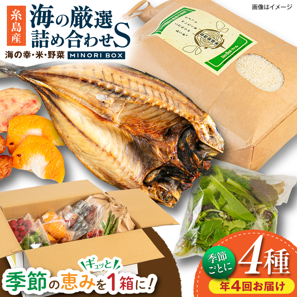 【全4回定期便 令和7年産新米】 糸島産 魚 米 野菜 果物 厳選詰め合わせ MINORI BOX Sサイズ【季節ごとに年4回お届け】　糸島市 / emma.Inc / 米 魚 野菜 詰め合わせ [AOP004] 米 こめ 魚 さかな 野菜 やさい 糸島 詰め合わせ MINORI 定期便
