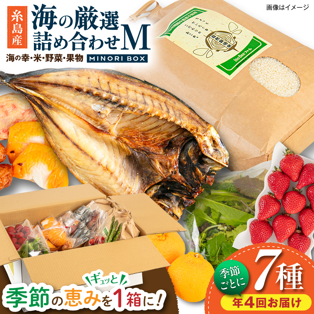 【全4回定期便 令和7年産新米】 糸島産 魚 米 野菜 果物 厳選詰め合わせ MINORI BOX Mサイズ【季節ごとに年4回お届け】 糸島市 / emma.Inc / 米 魚 野菜 果物 詰め合わせ [AOP005] 米 こめ 魚 さかな 野菜 やさい 果物 くだもの 糸島 詰め合わせ MINOR