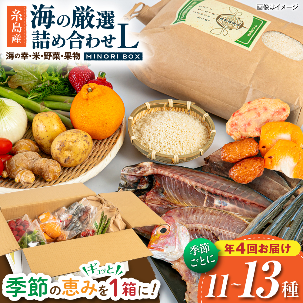 【全4回定期便 令和7年産新米】 糸島産 魚 米 野菜 果物 厳選詰め合わせ MINORI BOX Lサイズ【季節ごとに年4回お届け】　糸島市 / emma.Inc / 米 魚 野菜 果物 詰め合わせ [AOP006] 米 こめ 魚 さかな 野菜 やさい 果物 くだもの 糸島 詰め合わせ MINOR