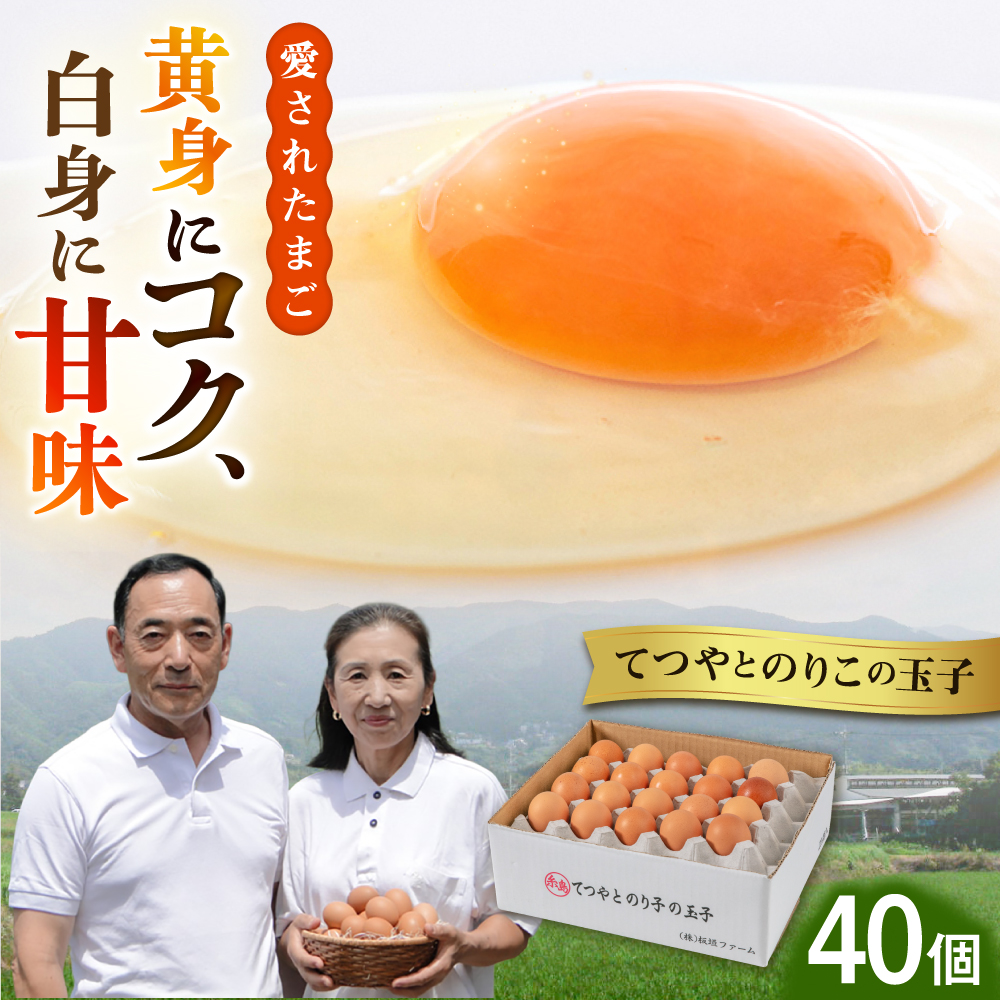 てつやとのりこの玉子 【 40個 】 糸島市 / 板垣ファーム 卵 たまご 鶏卵 [AWD019]