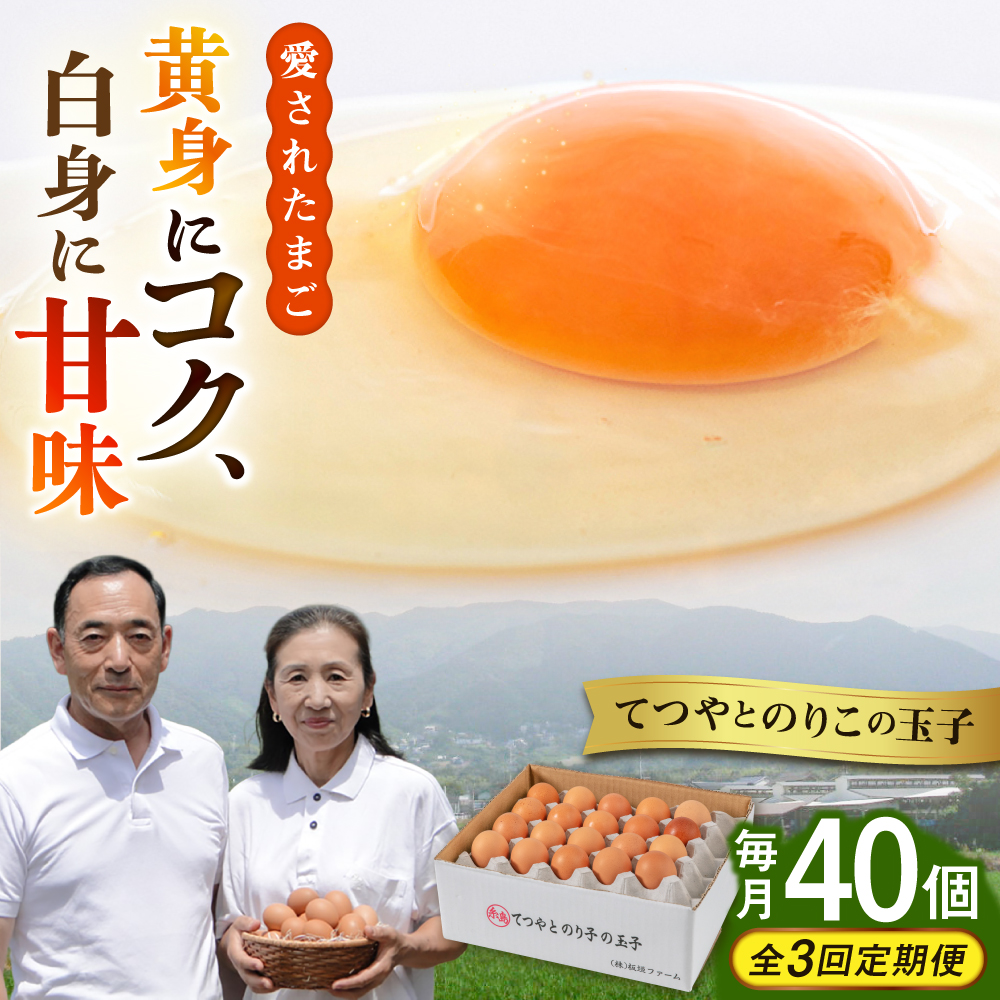 【全3回定期便】てつやとのりこの玉子 【 40個 】 糸島市 / 板垣ファーム 卵 たまご 鶏卵 [AWD020]