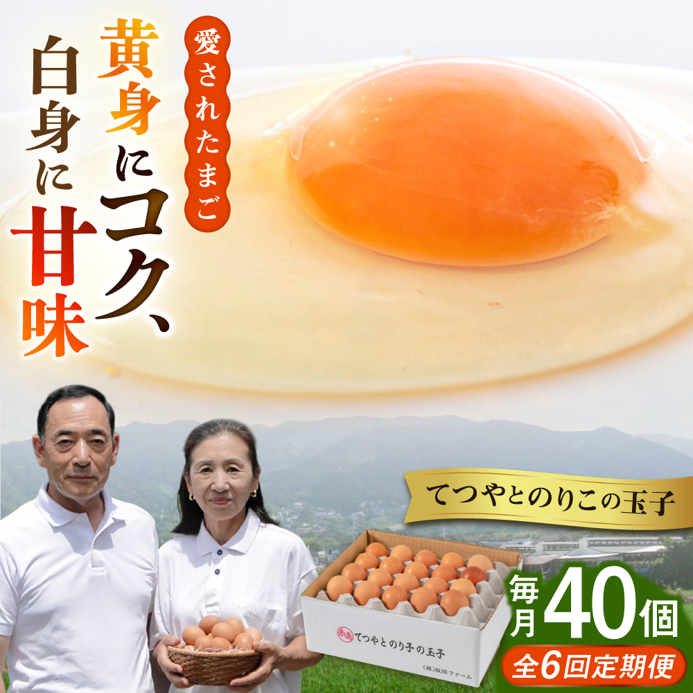 【全6回定期便】てつやとのりこの玉子 【 40個 】 糸島市 / 板垣ファーム 卵 たまご 鶏卵 [AWD021]