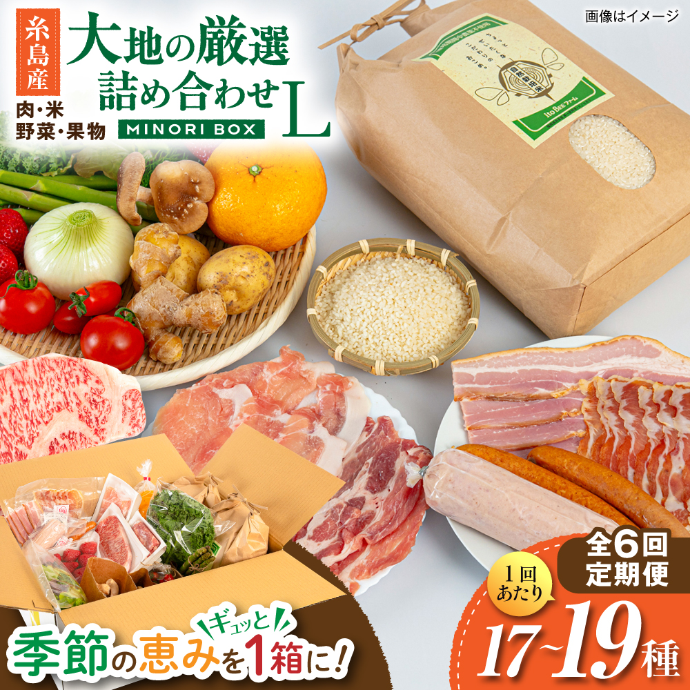 【全6回定期便】糸島産 肉 米 野菜 果物 厳選詰め合わせ MINORI BOX Lサイズ 糸島市 / emma.Inc / 米 肉 野菜 果物 詰め合わせ [AOP017]