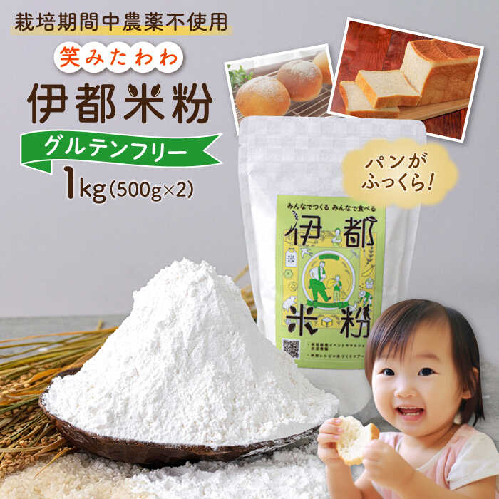 伊都 米粉 笑みたわわ 1kg 500g×2 糸島市 / フルタク [AHN008] 米 米粉 米粉パン 国産 国内産 グルテンフリー アレルギー