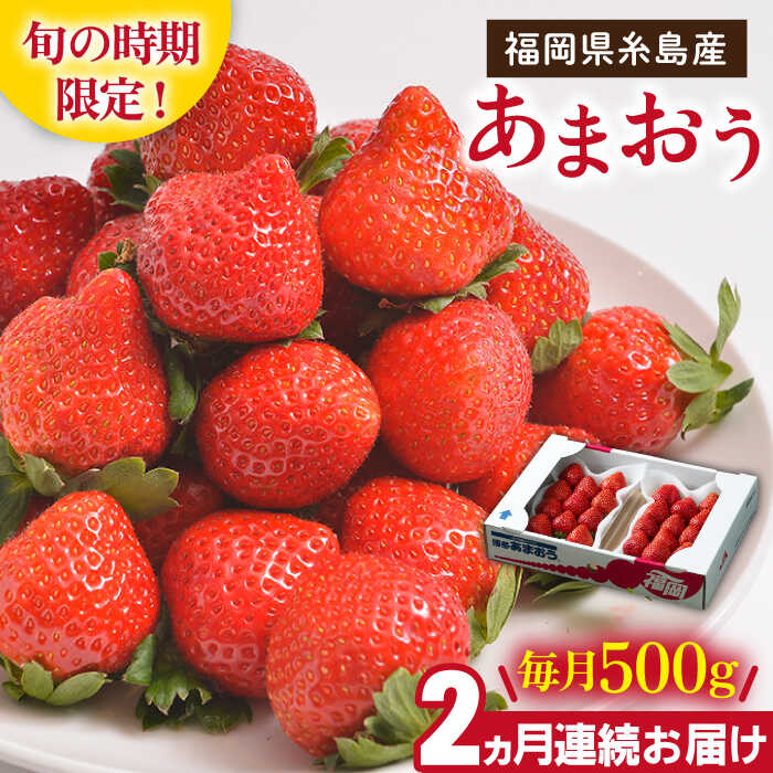 【先行予約】【全2回定期便】糸島産【冬】 あまおう 2パック 毎月計500g 【2025年12月上旬以降順次発送】糸島市 / 南国フルーツ株式会社 [AIK025] いちご ギフト イチゴ 食べ比べ 苗 タルト フルーツ 果物