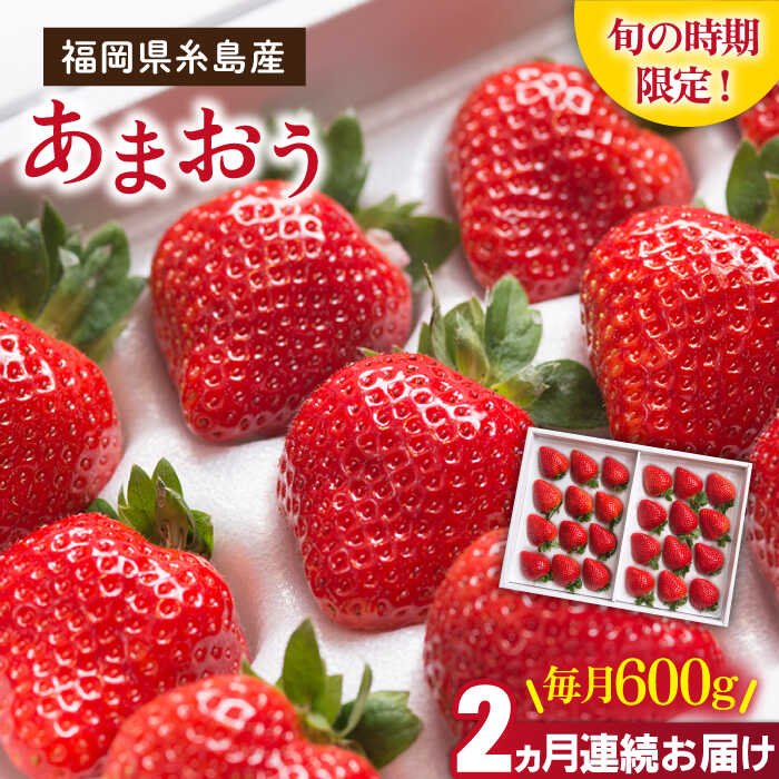 【先行予約】【全2回定期便】糸島産 あまおう ギフト 箱 毎月600g (24-30粒) 【2026年1月より発送】糸島市 / 南国フルーツ株式会社 [AIK028] いちご ギフト イチゴ 食べ比べ 苗 タルト フルーツ 果物