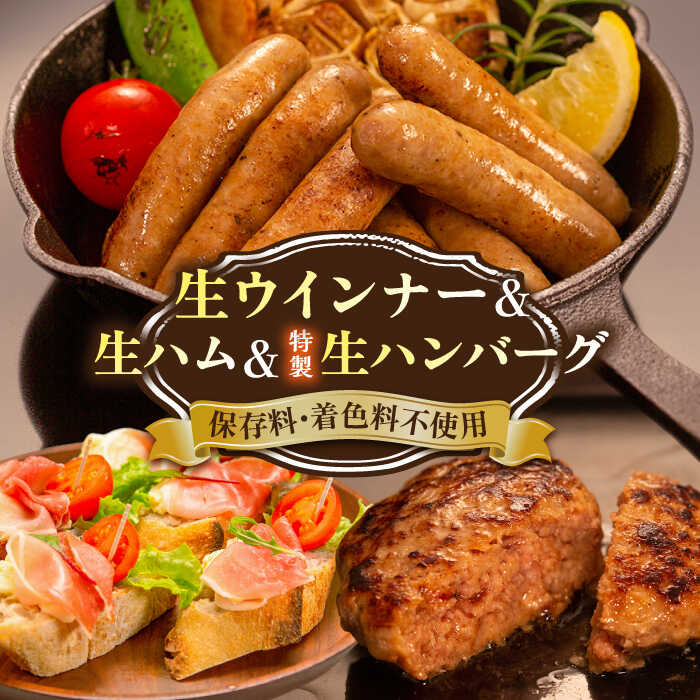 特製 生ハンバーグ 生ハム 生ウインナー 3種 セット 糸島市 / 志摩スモークハウス[AOA028] 肉 加工品 セット 生ハム ウインナー ハンバーグ ウィンナー 肉 ギフト