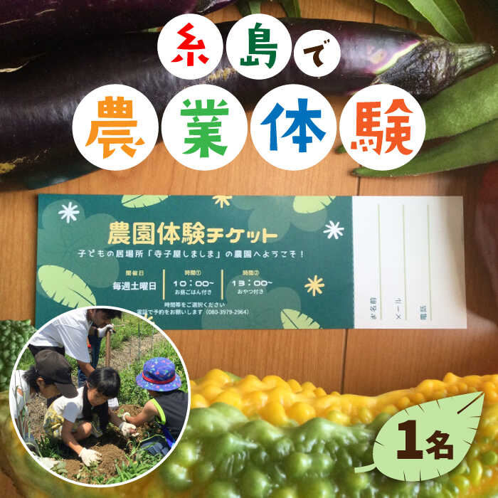 【ふるさと納税】糸島で農業体験(1名) 栽培期間中農薬不使用 無化学肥料 無除草剤の畑で野菜のお世話体験！ 糸島市 / 一般社団法人糸島しましまプロジェクト [AAL001]