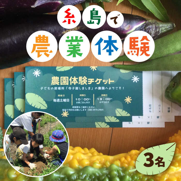 【ふるさと納税】糸島で農業体験(3名) 栽培期間中農薬不使用 無化学肥料 無除草剤の畑で野菜のお世話体験！ 糸島市 / 一般社団法人糸島しましまプロジェクト [AAL003]