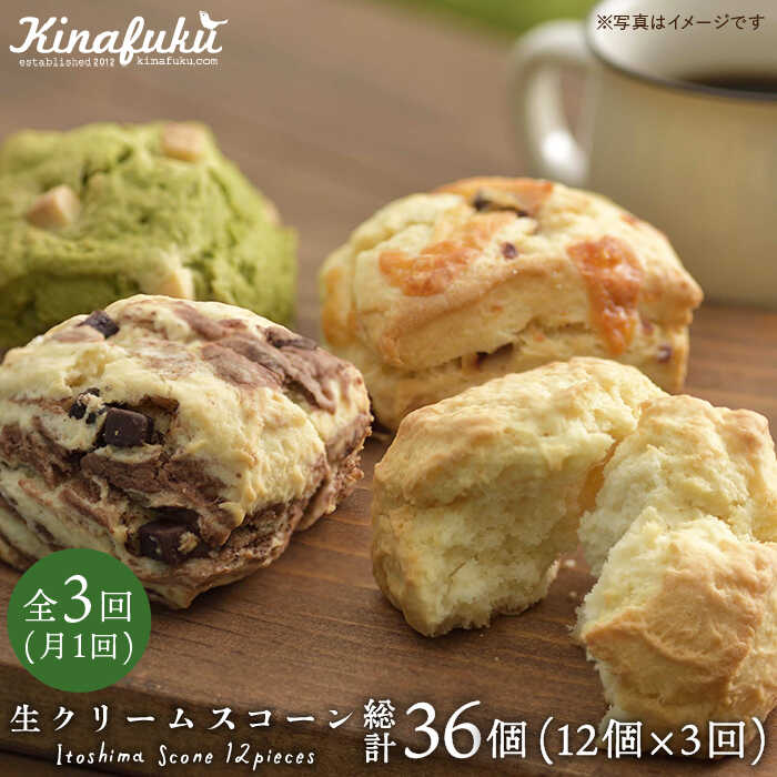 [全3回定期便] スコーンのイメージ 変えてみませんか? 定番スコーン 12個 セット 糸島市 / キナフク焼き菓子 焼菓子 洋菓子 スイーツ パン [AFA013] 洋菓子 焼き菓子 卵不使用 スコーン お菓子 自宅用 個包装 セット 詰め合わせ