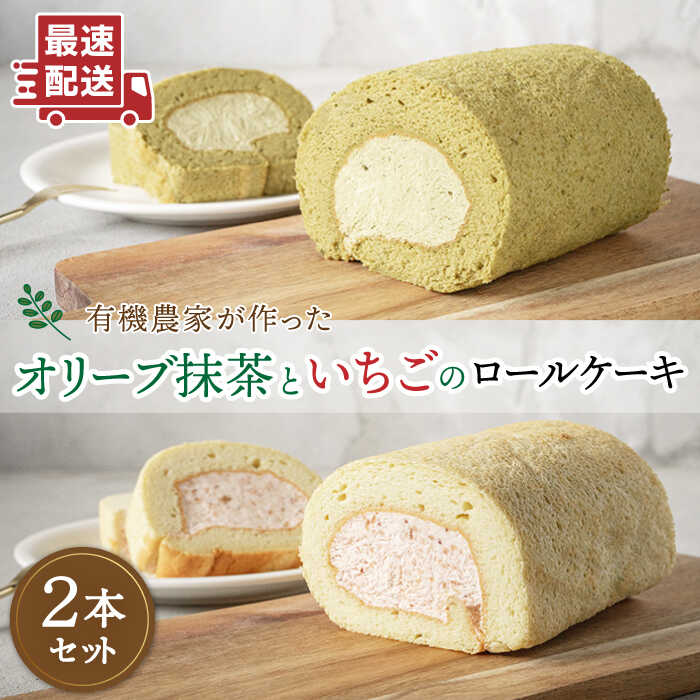 オリーブ リーフの抹茶 & つぶつぶ 糸島 いちご ロール ケーキ 2本 セット 糸島市 / わかまつ農園 [AHB014] ロールケーキ 抹茶 オリーブ いちご イチゴ ケーキ 洋菓子