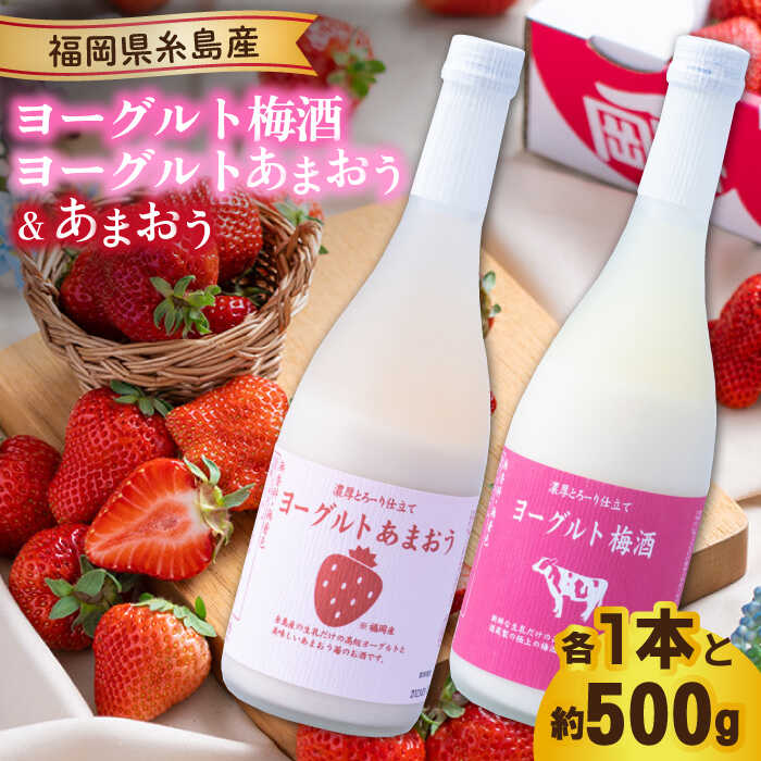 [先行予約][春]ヨーグルトあまおう&ヨーグルト梅酒 各720ml×あまおう 約250g×2パック [2026年2月上旬以降順次発送] 糸島市 / 南国フルーツ株式会社 [AIK019] 梅酒 ヨーグルト お酒 リキュール セット あまおう いちご