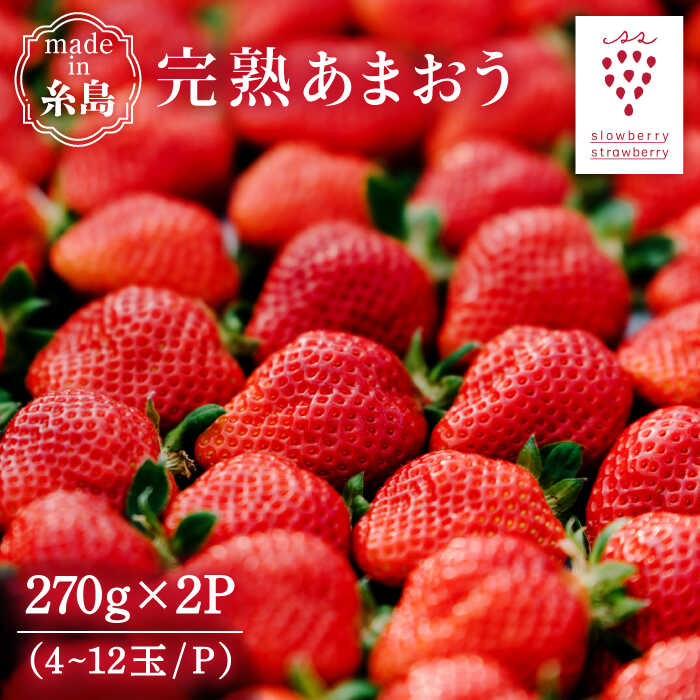 【先行受付】完熟あまおう 270g × 2パック【2026年1月より順次発送】 糸島市 / slowberry strawberry [APJ002] 苺 あまおう イチゴ いちご イチゴ 苺 あまおう フルーツ 果物 フルーツ 福岡 人気 おすすめ