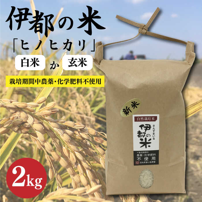 [令和5年産]伊都の米 ( ヒノヒカリ ) 2kg 糸島市 / 伊都福祉サービス協会 