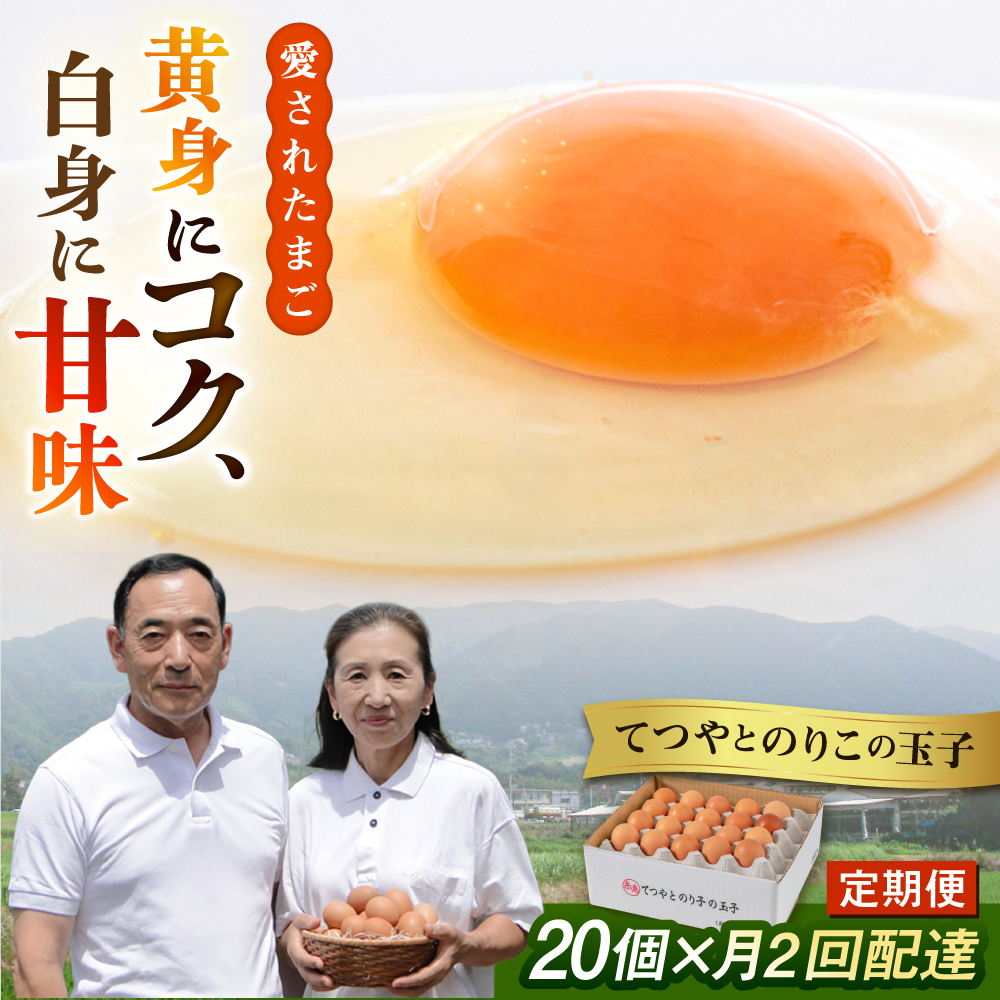 《月2回 × 20個 1ヶ月コース》 卵 てつやとのりこの玉子 全2回定期便 糸島市 / 板垣ファーム [AWD011]