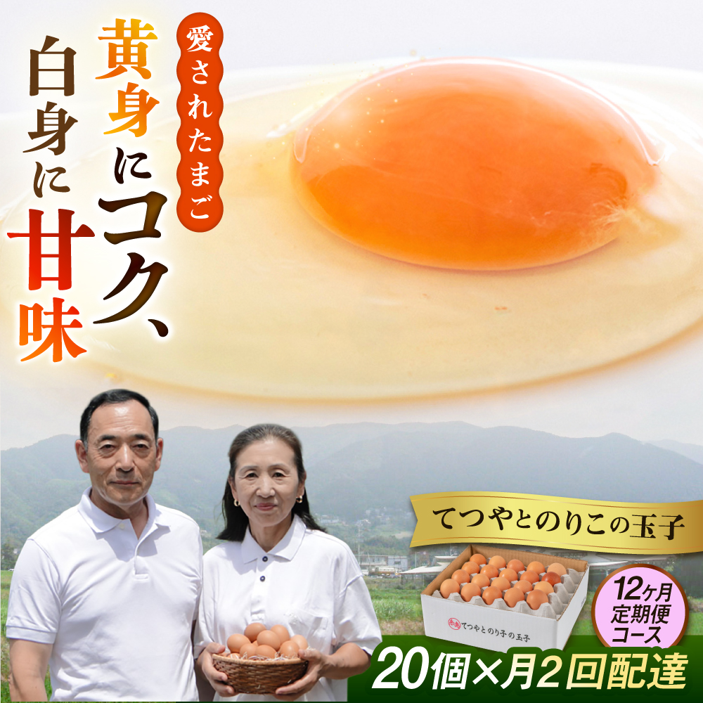 《月2回×20個 12ヶ月コース》てつやとのりこの玉子 全24回定期便 糸島市 / 板垣ファーム [AWD014]