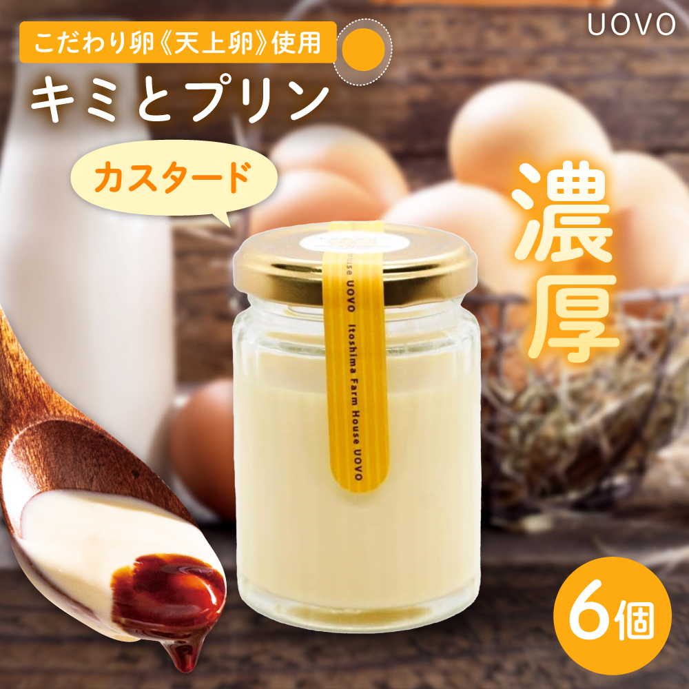 キミとプリン カスタード ◆ 6個 セット ◆ 《糸島市》【株式会社おおはまファーム】 [AKH013] プリン 天上卵 UOVO
