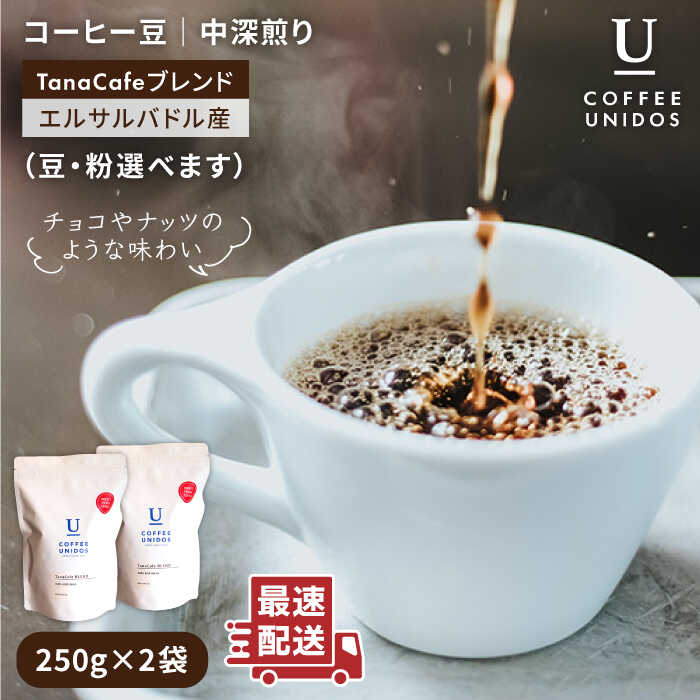 中深煎り コーヒー 豆 タナカフェブレンド 250g×2袋( 豆 ・ 粉 選べます ) 糸島市 / COFFEE UNIDOS [AQF011] 珈琲 カフェ コーヒー粉