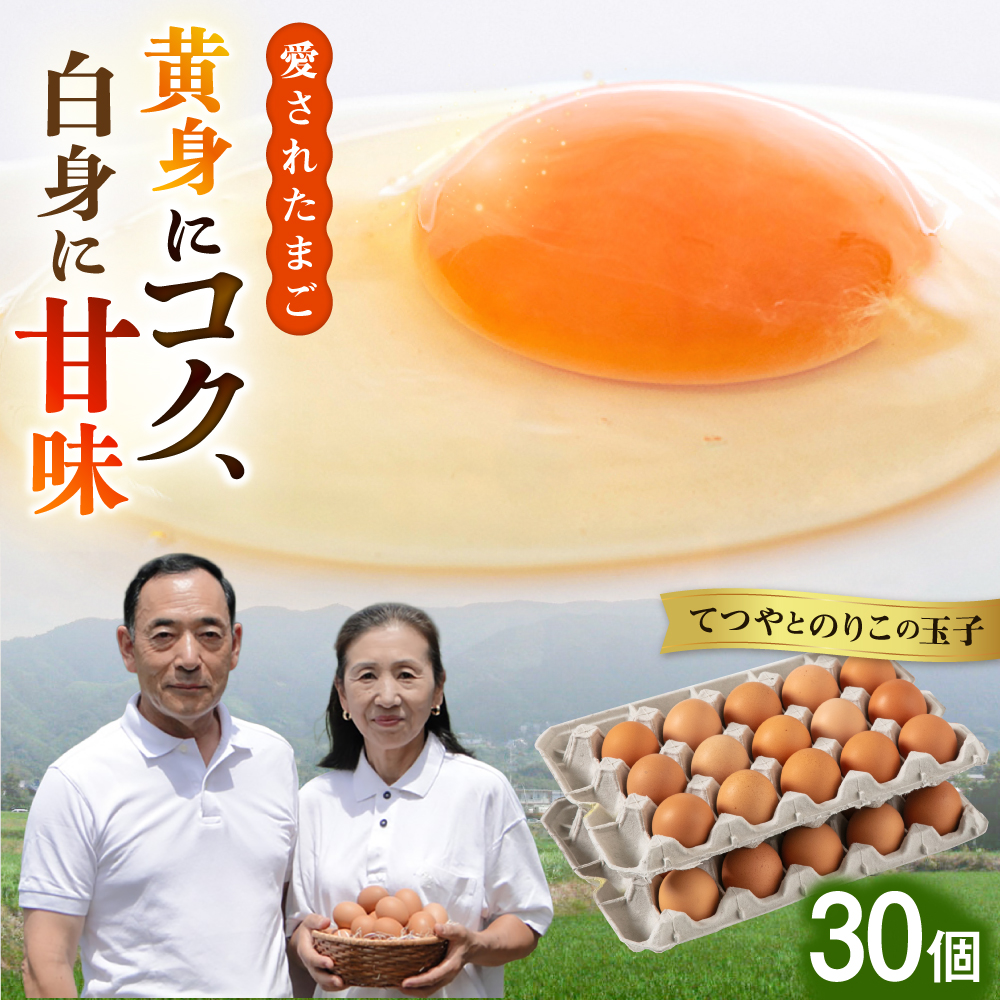 【30個】黄身にコク！白身に甘み！てつやとのりこの玉子 板垣ファーム [AWD001]
