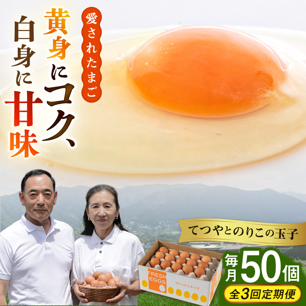 【全3回定期便】【50個×3ヶ月】黄身にコク！白身に甘み！てつやとのりこの玉子 板垣ファーム [AWD007]