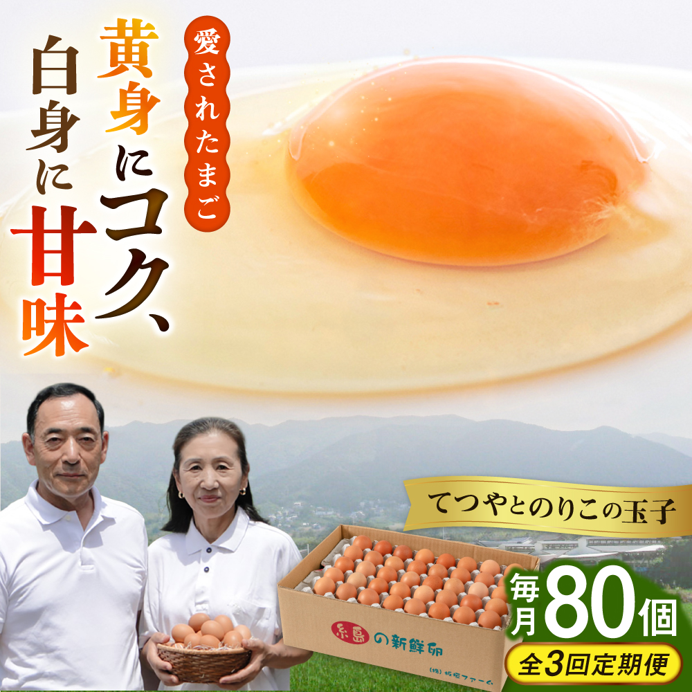 【全3回定期便】【80個×3ヶ月】黄身にコク！白身に甘み！てつやとのりこの玉子 板垣ファーム [AWD008]