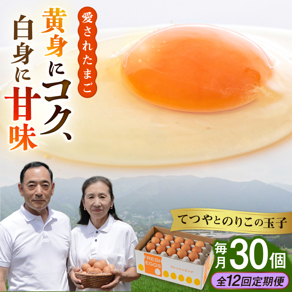 【全12回定期便】【30個×12ヶ月】黄身にコク！白身に甘み！てつやとのりこの玉子 板垣ファーム [AWD010]