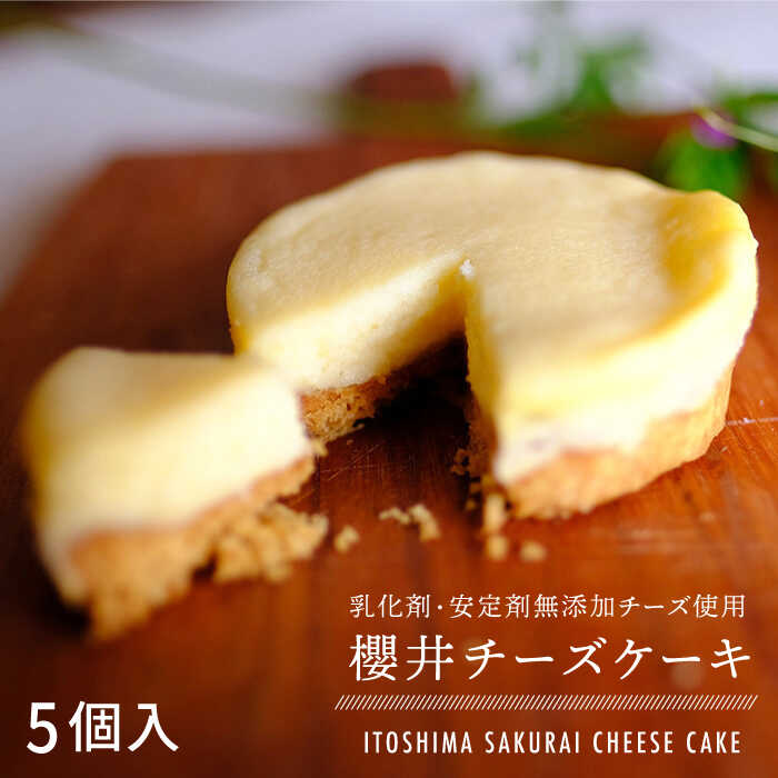 無添加 チーズ の櫻井 チーズケーキ[ 5個 セット] 糸島市 / 糸島手造り工房 爽風 [ATA002] スイーツ チーズケーキ 個包装 濃厚 レモン 冷凍 冷蔵 おやつ