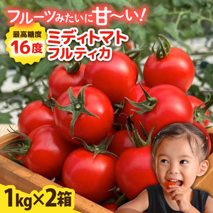 [先行予約]フルティカ 2kg (1kg×2箱) [2025年10月以降順次発送] 糸島市 / かわぞえ農園 