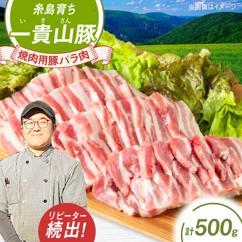 一貴山豚 焼肉用バラ肉 計500g(250g×2p) 糸島市 / いきさん牧場 豚肉 冷凍 [AGB034] 豚肉 豚 ブランド豚 一貴山豚 ポーク バラ 豚バラ 脂身 小分け