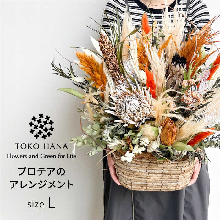 プロテアのアレンジメント(Lサイズ) 糸島市 / tokohana ドライフラワー アレンジ [AOC037] ドライフラワー アレンジメント インテリア 壁掛け 壁面 花 アレンジ 植物