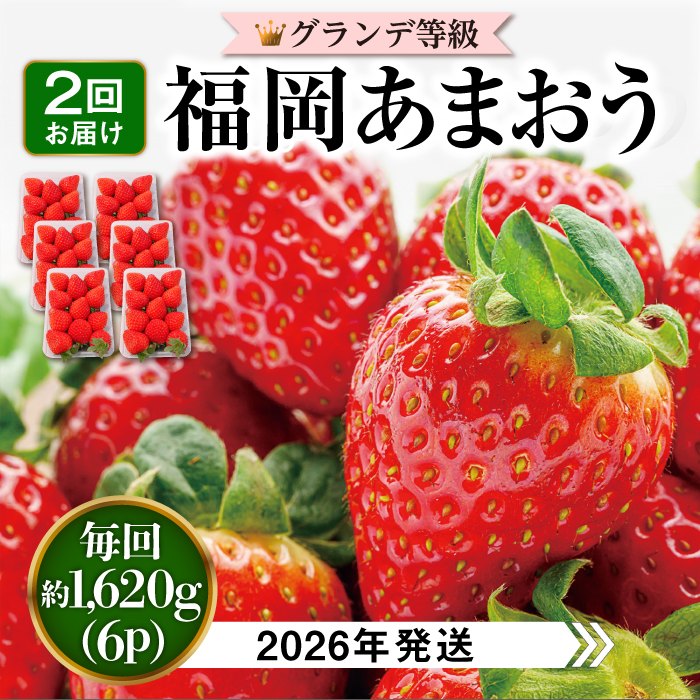 【先行予約】【全2回定期便】【 数量限定 】 あまおう いちご 1,620g (約 270g×6パック) 【2026年3月初旬より順次発送】 糸島市 / 株式会社HSP-テクノ グランデ 等級 福岡県産 [AZL006] ブランド いちご あまおう 数量限定 先行予約 果物 フルーツ 苺 イチゴ