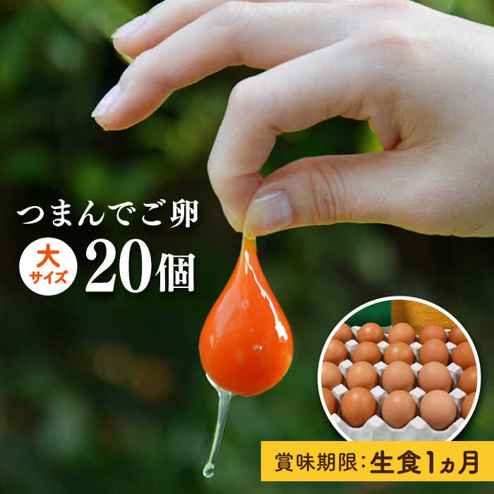 【プリップリな 卵黄 ！】 つまんでご卵 20個 セット 卵 たまご 糸島市 / 緑の農園 [AGA008] たまご 卵 鶏卵 玉子 平飼い たまごかけご飯 卵かけご飯 卵焼き 平飼い卵