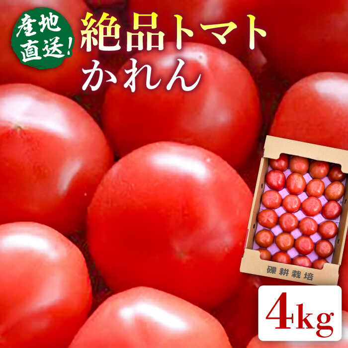 【先行受付】【産地直送！】糸島産 絶品 トマト かれん (4kg 28玉 前後) 【2025年12月上旬以降順次発送】　糸島市 / シーブ [AHC019] 大玉トマト トマト とまと 野菜 やさい 甘い