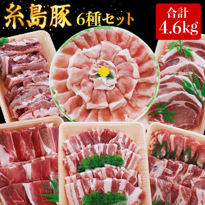 合計4.6kg!糸島豚 食べ尽くし セット (とんかつ / 肩ロース / しゃぶしゃぶ / 豚バラ / スペアリブ / 小間切れ) 糸島市 / トラヤミートセンター 