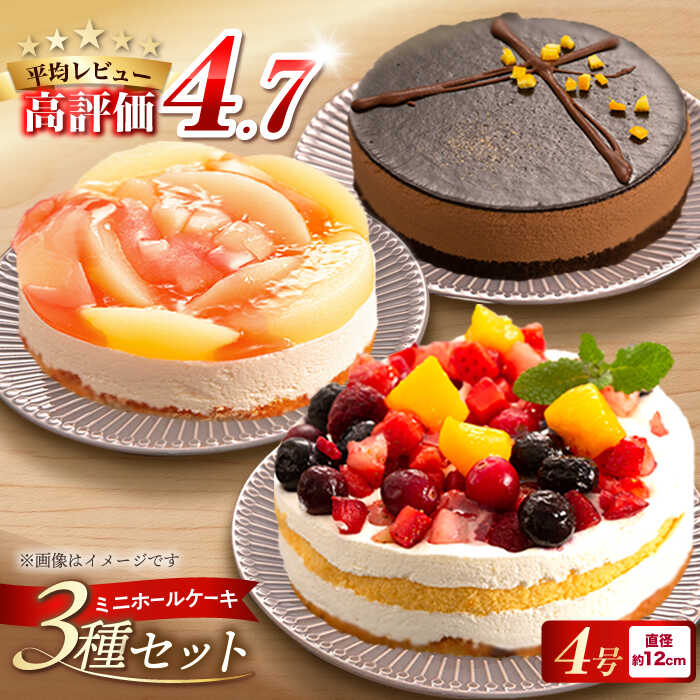 フルーツ / チョコムース / レアチーズ ホールケーキ 3種 冷凍 糸島市 / 五洋食品産業 