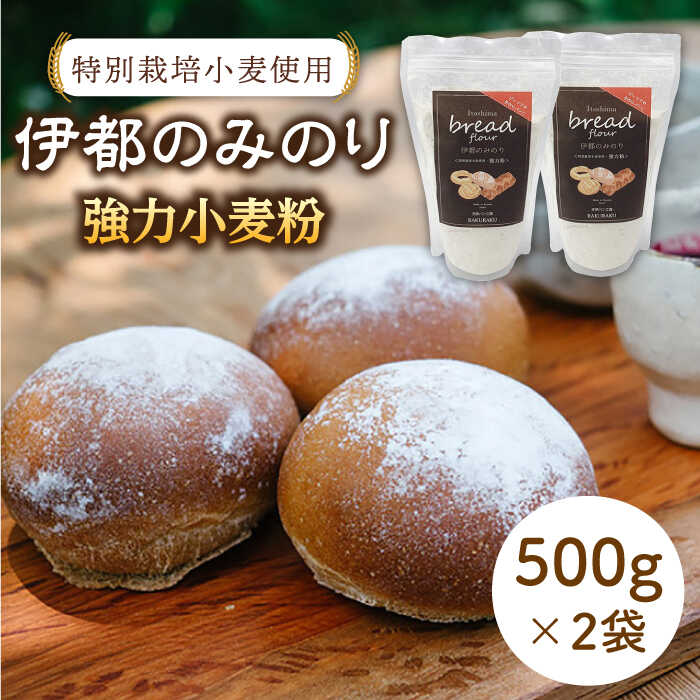 特別栽培 小麦 使用 伊都のみのり( 500g×2袋 ) 糸島市 / 天然パン工房楽楽 / いとしまごころ [AVC002] 小麦 小麦粉 強力 強力粉 特別栽培 パン ぱん ブラン トースト