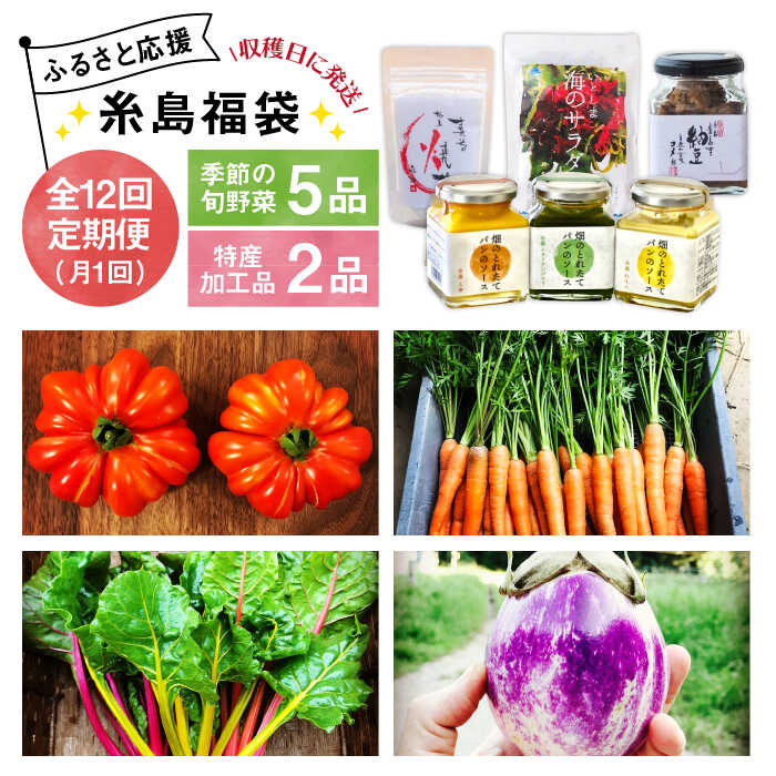 【 全12回 定期便 】 朝採り オーガニック 旬 野菜 お任せ 5品 ＋ 糸島産 大ヒット 特産 加工品 2品 のセット《糸島》【オーガニックナガミツファーム】 	[AGE032]