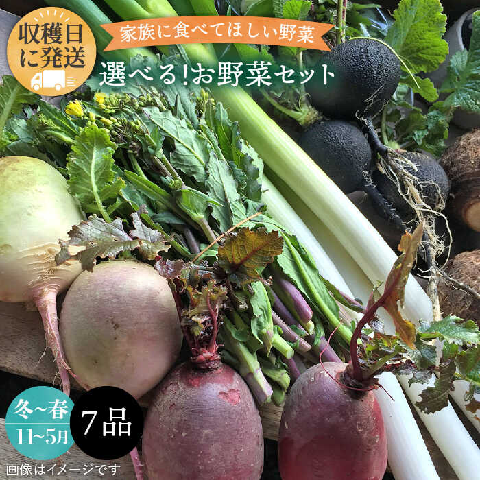 選べる!オーガニック野菜7品セット 冬〜春限定 糸島市 / オーガニックナガミツファーム 