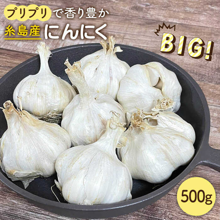 にんにく 500g 数量限定 糸島市 / 爽風農園 / いとしまごころ [AHZ001]
