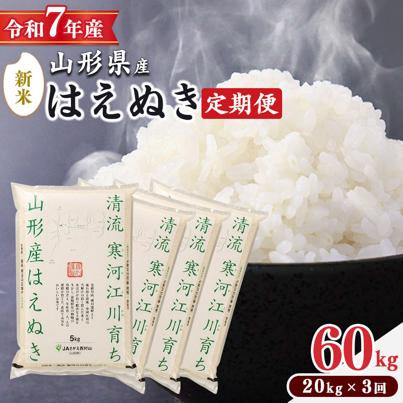 ＜ 2025年12月下旬より隔月3回 ＞【令和7年産 定期便】はえぬき計60kg！お米 定期便（20kg×3回）！清流寒河江川育ち 山形産はえぬき 2025年産　195-C-JA014-202512下