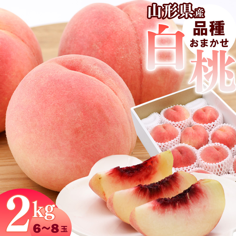 山形県産 白桃 2kg 品種おまかせ 秀品 【2025年8月上旬頃から9月下旬頃発送予定】／ 果物 フルーツ 果実 産地直送 新鮮 夏 お取り寄せ ご当地 ピーチ 果汁 JA もも 山形産 山形県 寒河江市 2025年産 令和7年産 2キロ　010-B-JA047