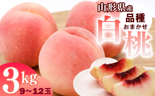 山形県産 白桃 3kg 品種おまかせ 秀品 【2025年8月上旬頃から9月下旬頃発送予定】／ 果物 フルーツ 果実 産地直送 新鮮 夏 お取り寄せ ご当地 ピーチ 果汁 JA もも 山形産 山形県 寒河江市 2025年産 令和7年産 3キロ　014-B-JA048