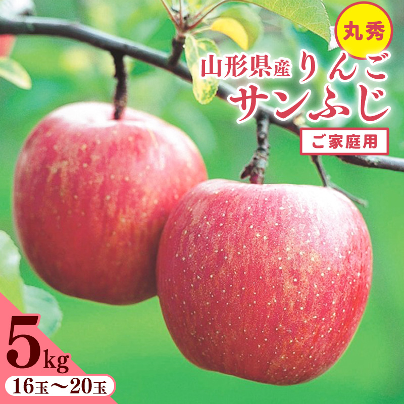 りんご 5kg「サンふじ」 丸秀品 (16 - 20玉) 《家庭用》山形県産【2025年11月中旬頃 - 12月頃発送予定】　017-B-JA049