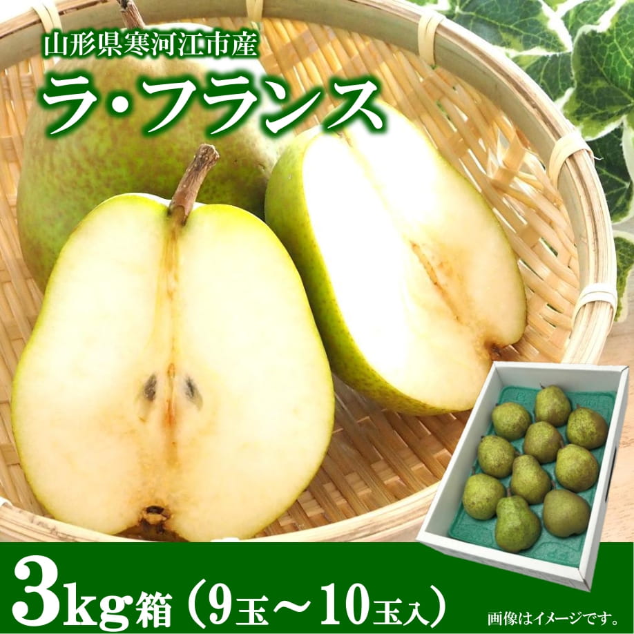 【道の駅厳選】山形県産 令和7年産 ラ・フランス 3kg 2L - 3L ( 9 - 10玉)【2025年10月下旬頃から11月下旬頃配送予定】　013-B-CS012