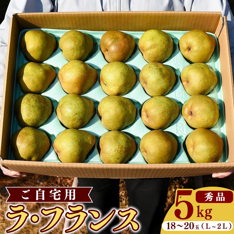 こだわり ラ・フランス 5kg(18玉~20玉) 秀品 L~2L 《ご自宅用》 農家直送 山形県産【2025年11月頃~12月上旬頃発送予定】 012-B-HK002