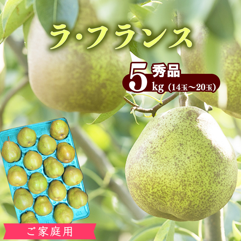 【ご自宅用】山形産 洋梨「ラ・フランス」5kg(14玉 - 20玉)秀品 サイズおまかせ 【2025年10月末頃から12月上旬頃】/ ラフランス 果物 フルーツ 季節 秋 東北 山形県産 2025年産 令和7年産 5キロ 014-B-JA004